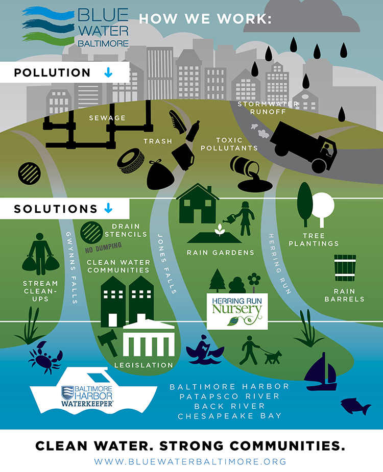 Blue Water Baltimore Infographic