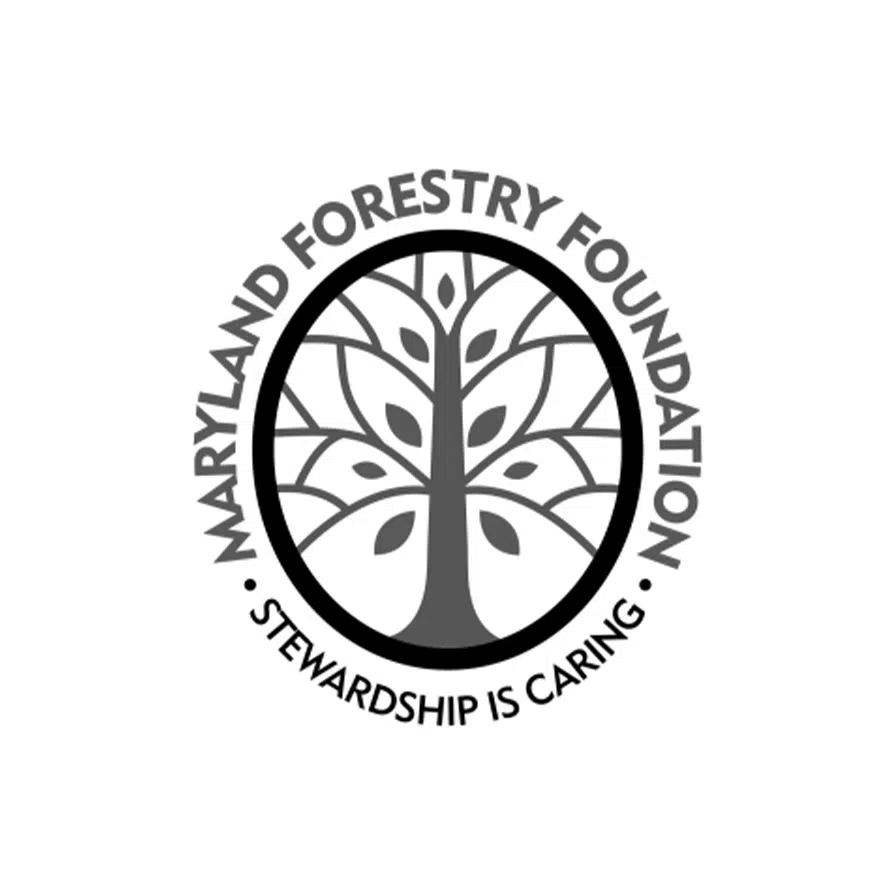 MDFF Logo